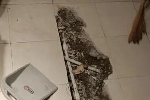 正阳卫生间漏水检测电话